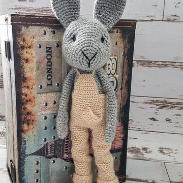 Robi Bunny