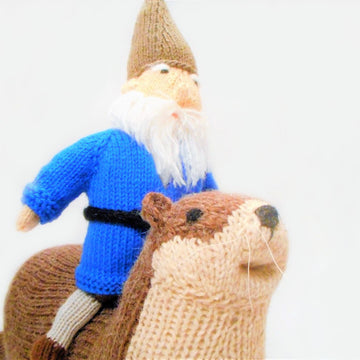 Forest Gnome