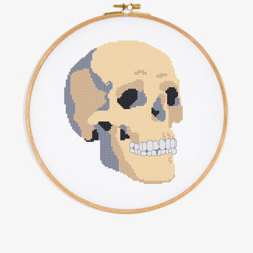 Skull  in DMC - PAT0797 -  Downloadable PDF