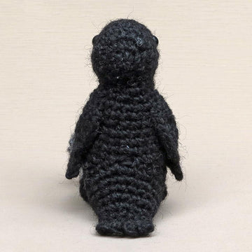 Crowly the raven