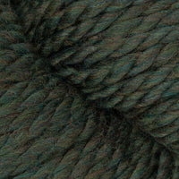Lichen (867)