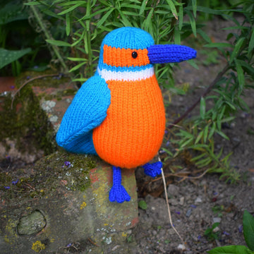 Kenneth the Kingfisher