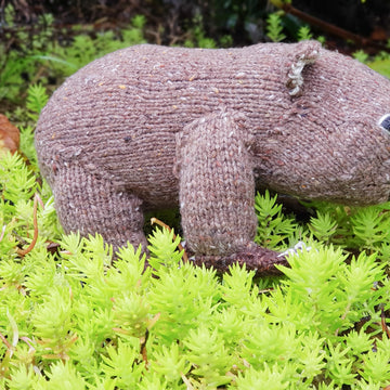Australian Wombat