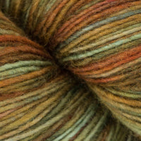Autumn Forest (224)
