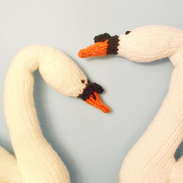 Baby Sister's Swan