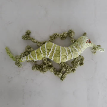 Leafy seadragon