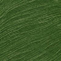 Wakame (24)