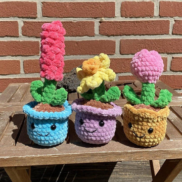 Potted Spring Flower