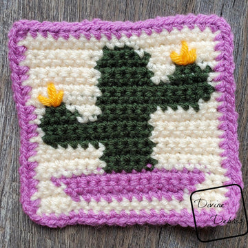 Cactus Coasters Quartet