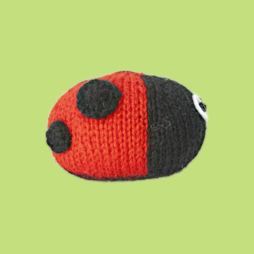 Sammy Snail and Lil Ladybug