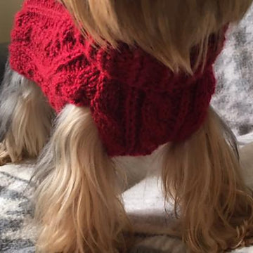 Red Wine Cabled Dog Sweater