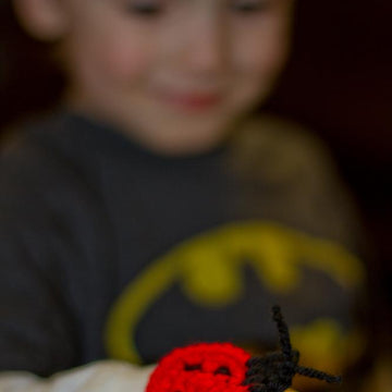 Lady Bug Appliqué