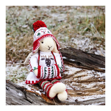 Christmas Bunny with Outfits