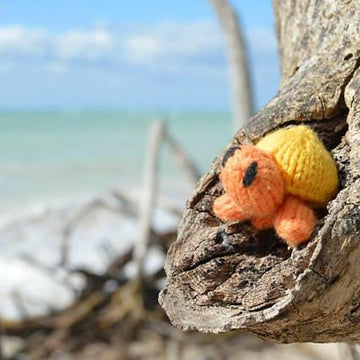 Mini-Turtle
