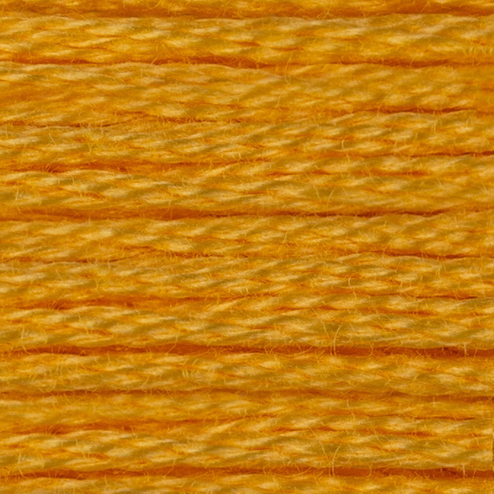 DMC Stranded Cotton - Warm Shades