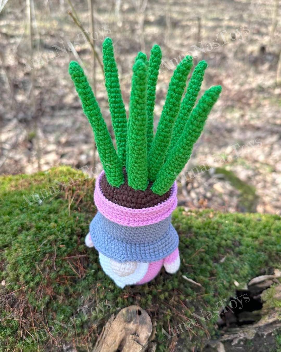 Gnome succulent_sansevieria 3