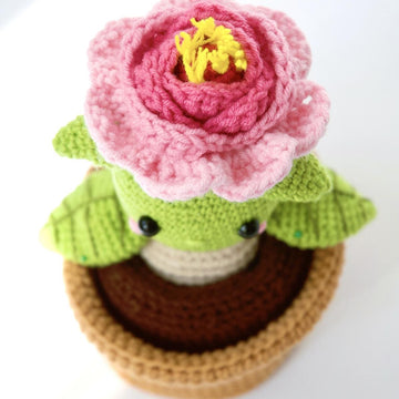 Peony In Flower Pot