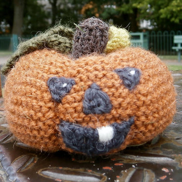 Pumpkin Patch