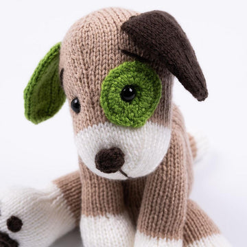Dog with patchy eye