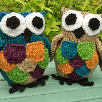 Chubbs the Owl