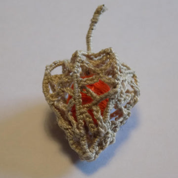 Physalis (Chinese lantern)