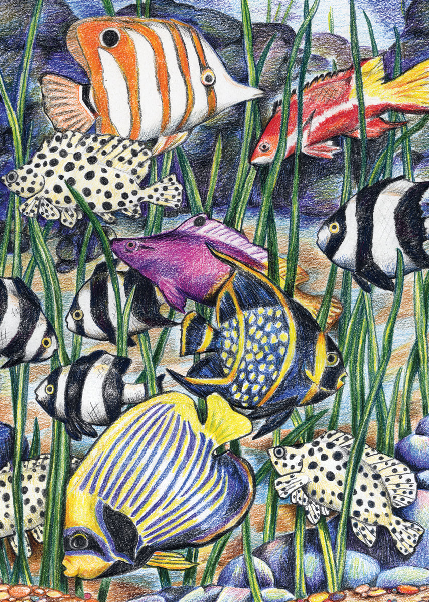 Royal Brush Mini Color Pencil By Number Kit 5"X7" - Tropical Fish