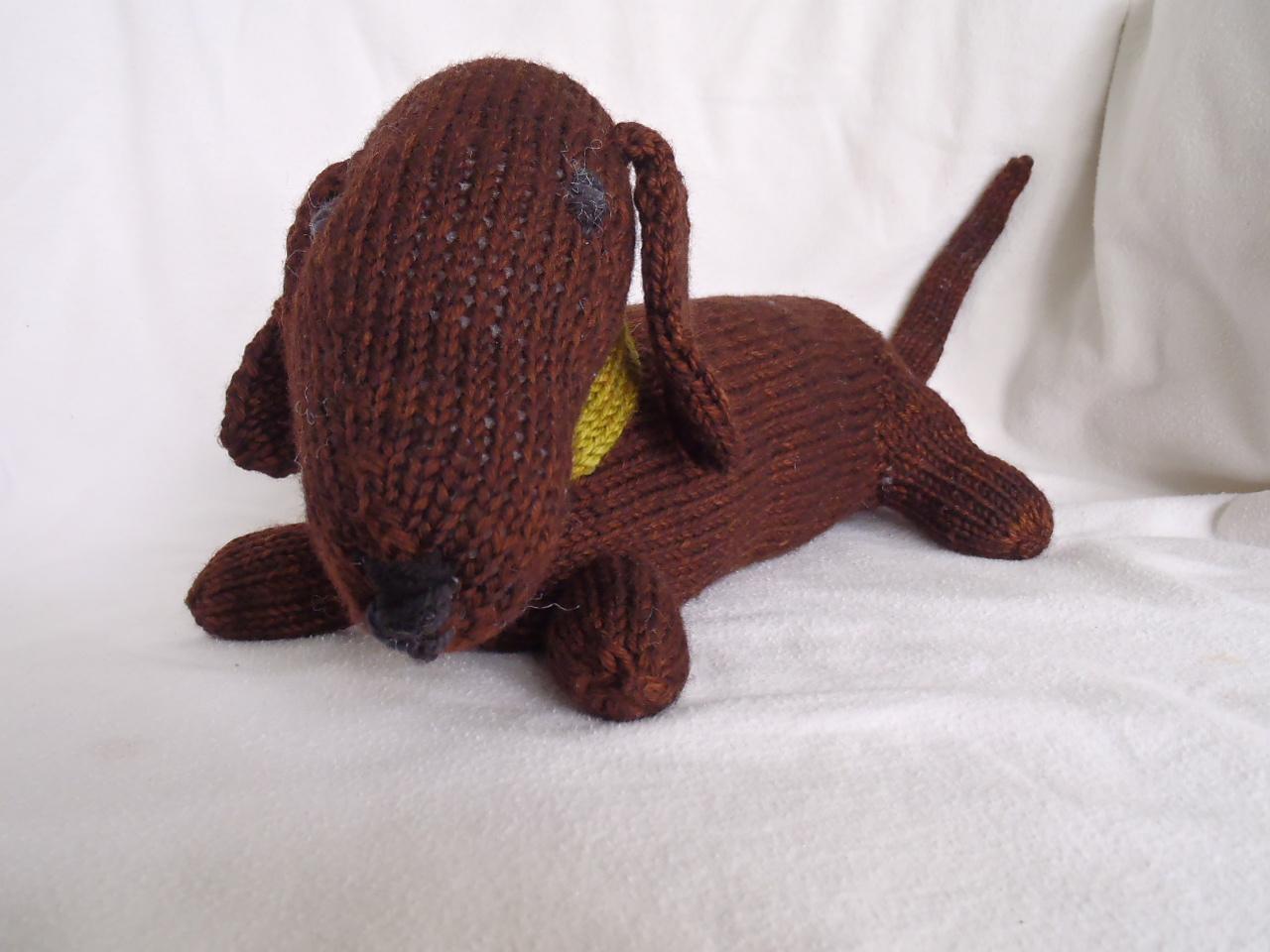Jelly, the dachshund