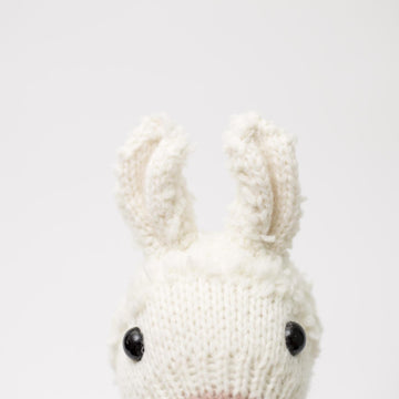 Lowri the Llama