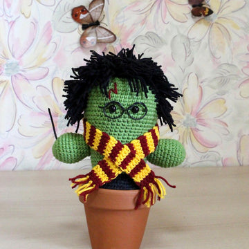 Cactus wizard Harry, plant, succulent