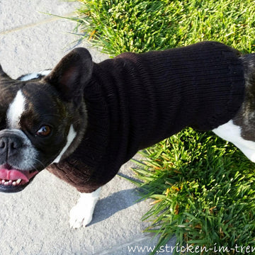 Knitting Pattern Dog Sweater LILO | French Bulldog Jumper | Pet Knitwear PDF