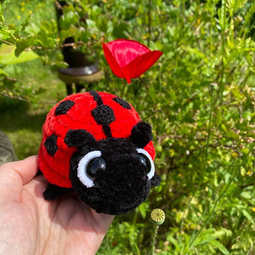 Ladybug