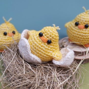 Diddy the Chick