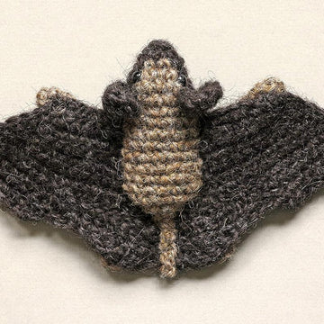 Mr. Batty the bat