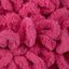 Bright Pink (37008)