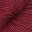 Raspberry (22)