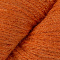 Persimmon Orange (15)