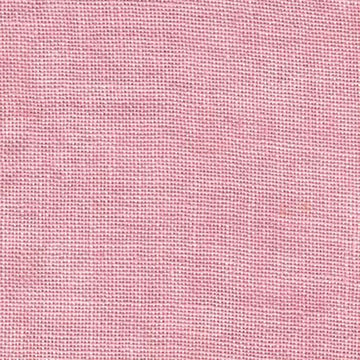 Charlottes Pink