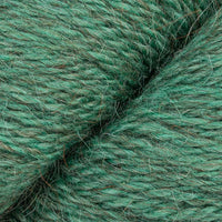 Eucalyptus (00013)