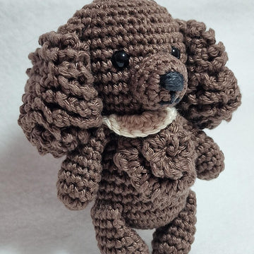 Spaniel Dog