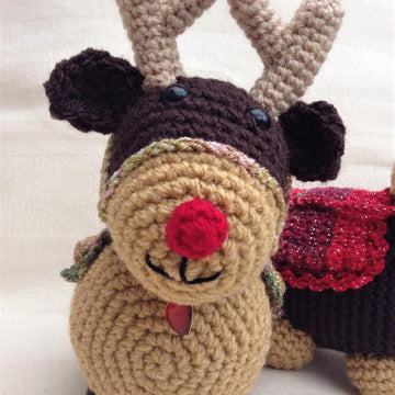 Rudolph and Friends