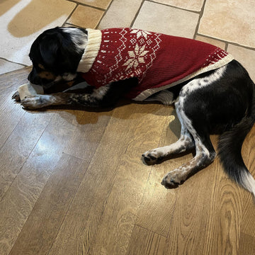 Snowy pup Sweater