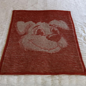 Canis Minor Illusion Baby Blanket