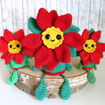 Little Poinsettia