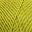 Bamboo (76)