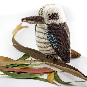 Australian Kookaburra