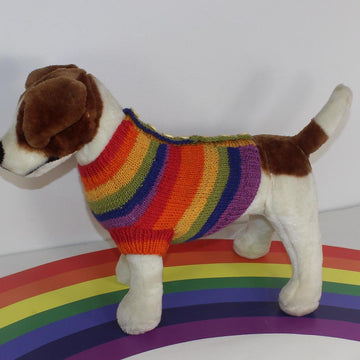 Small Dog Rainbow Back Button Up Dog Coat