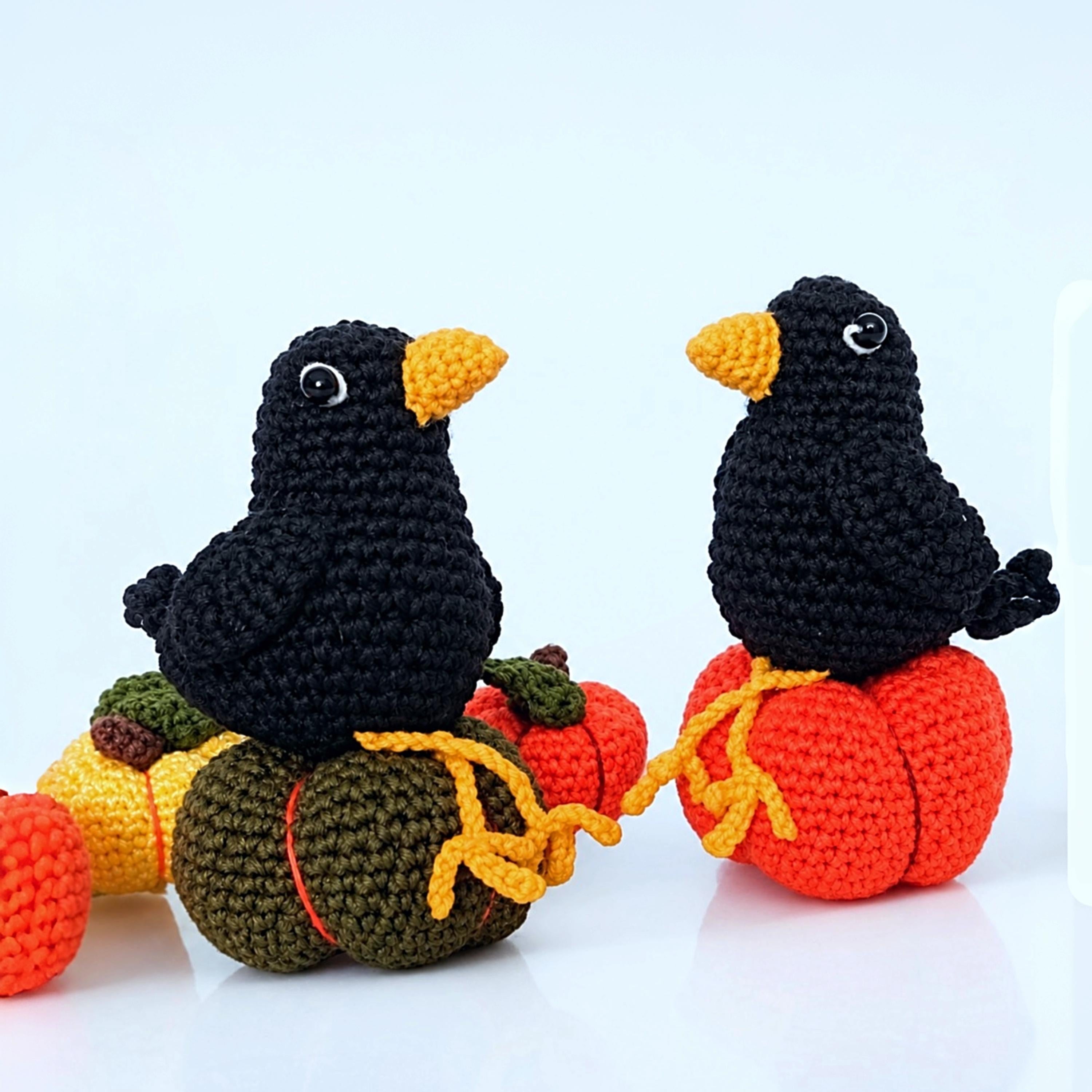 Crow and pumpkins