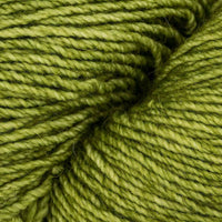 Lettuce (DST037)