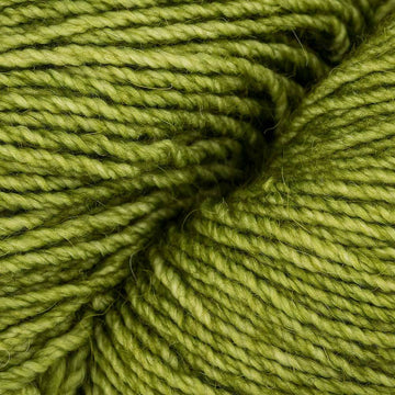 Lettuce (DST037)