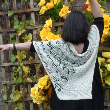 Entwined in Lace